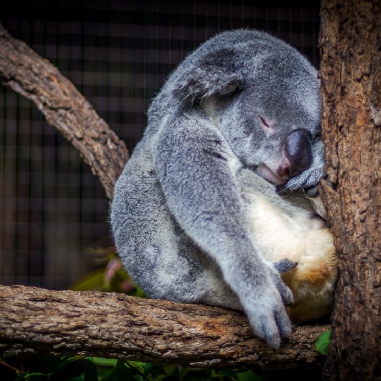 The benefits of sleeping on a higher quality mattress